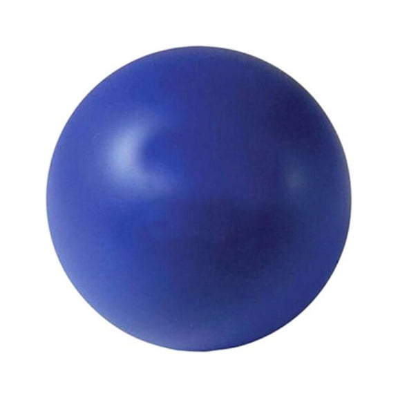 Stress Relief Ball  Squeeze Anxiety Stress Reducer for Hand, Physical Therapy, Arthritis (Blue)