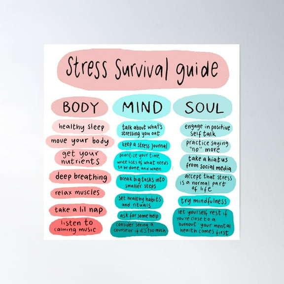 Stress Survival Guide For All Poster Wall Art, Modern Wall Decor, 24x24 UNFRAMED