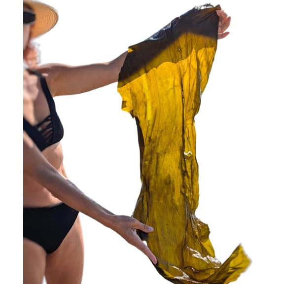 Stretch Marks Remover & Tighten Skin Whole Seaweed Leaves Provide Fat Lifting enriched with Marine Collagen, Gotu Kola, Niacinamide, and Vitamin C. Made in USA.