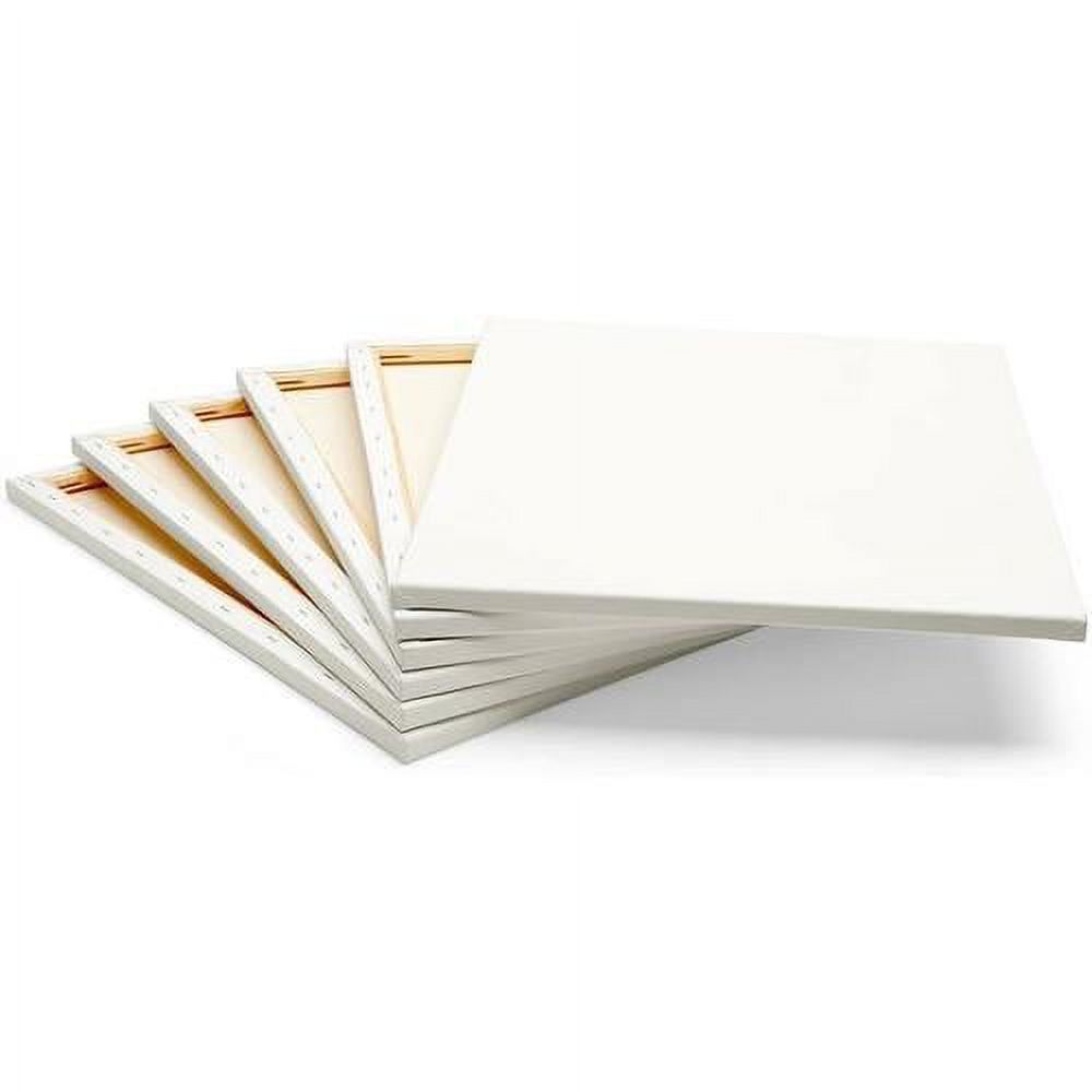 Stretched Canvas For Painting, 6Piece, 12 X 16 Inches, Blank White
