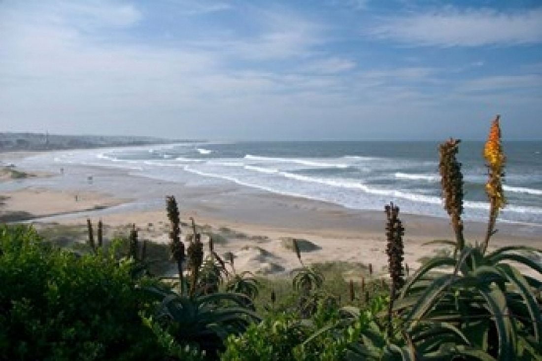 Stretches of Beach Jeffreys Bay South Africa Canvas Art - Micah Wright DanitaDelimont (17 x 11)