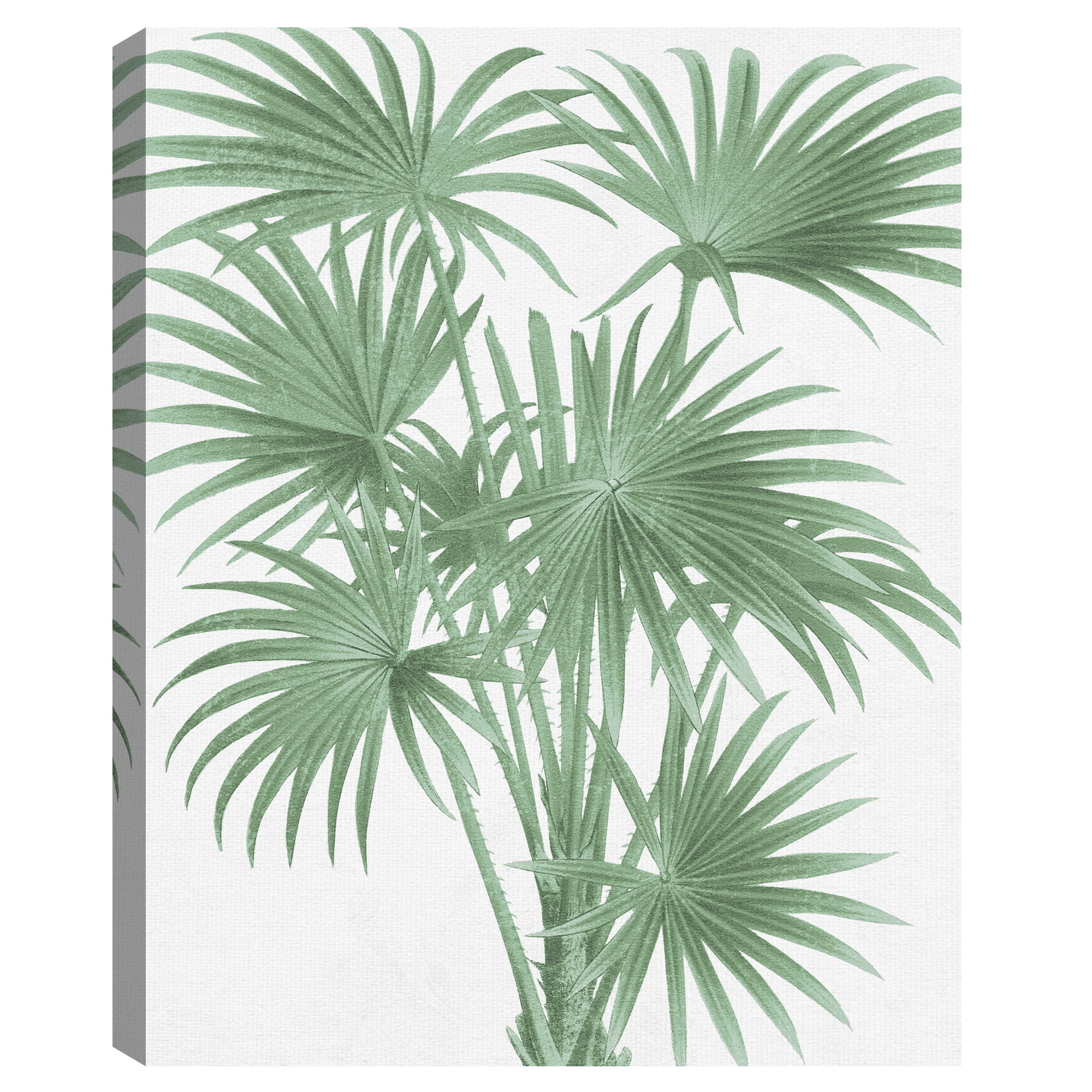 Stretching Palms by The Vintage Collection Canvas Art Print