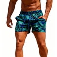 thumbnail image 1 of Men's and Boy's Swim Trunks Shorts, With Mesh lining, 9" Inseam, Suitable For Summer Beach Wear, Sizes XS-2XL, 1 of 4