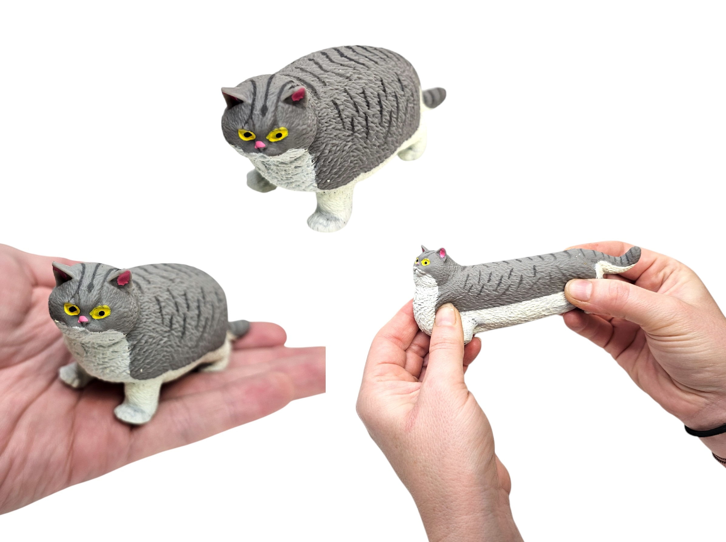 Stretchy-House-Cat-Gray-Cat-4-