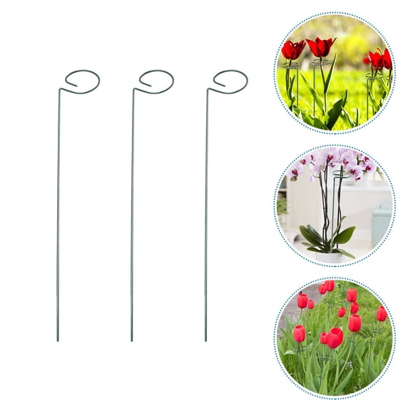 3pcs Practical Plant Racks for Climbing Plants Durable Iron Craft Design