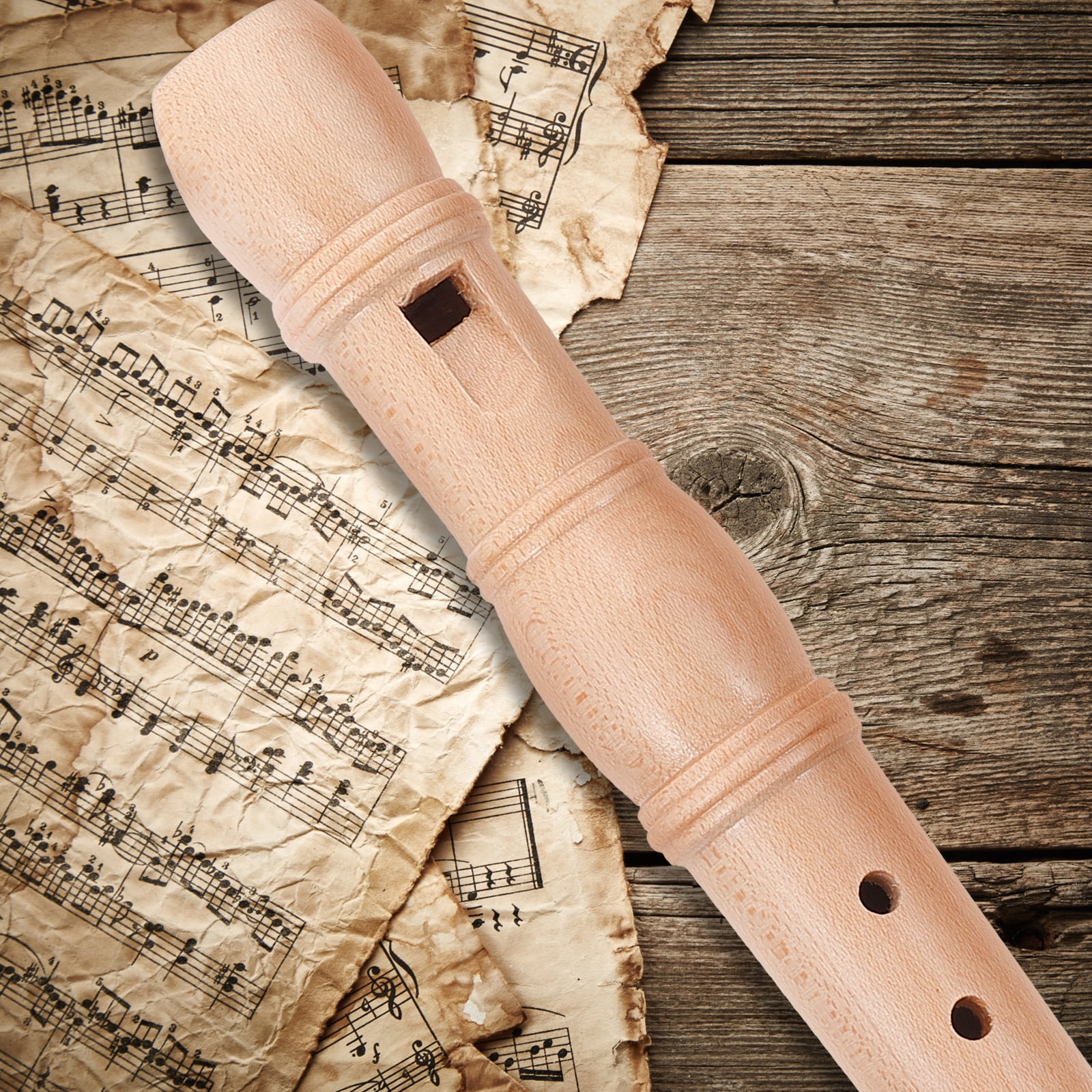 Stri Professional Children Beginner Wind Instrument