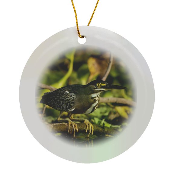 3drose, Striated Heron at Waters Edge. Brazil, South America, Circle Porcelain Ornament