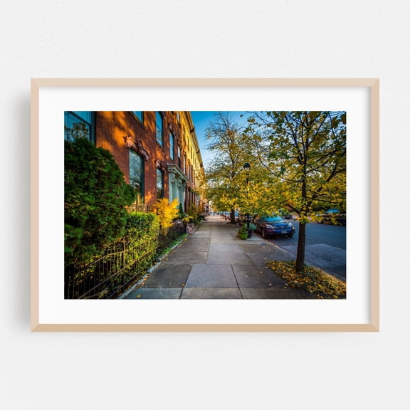 Stricker Street, Union Square - Baltimore Maryland Photography Autumn Architecture Street Photography City Scenic Botanical Cityscape Oak Framed Wall Art Print 5 x 7 inches