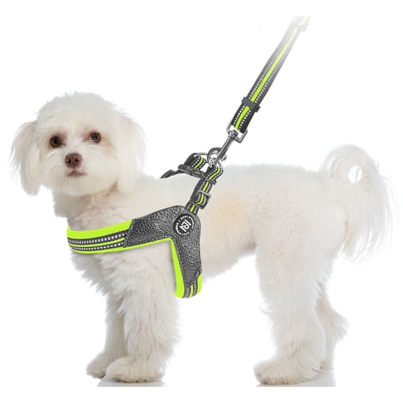 Stride. Dog Green Step-In Adjustable Harness