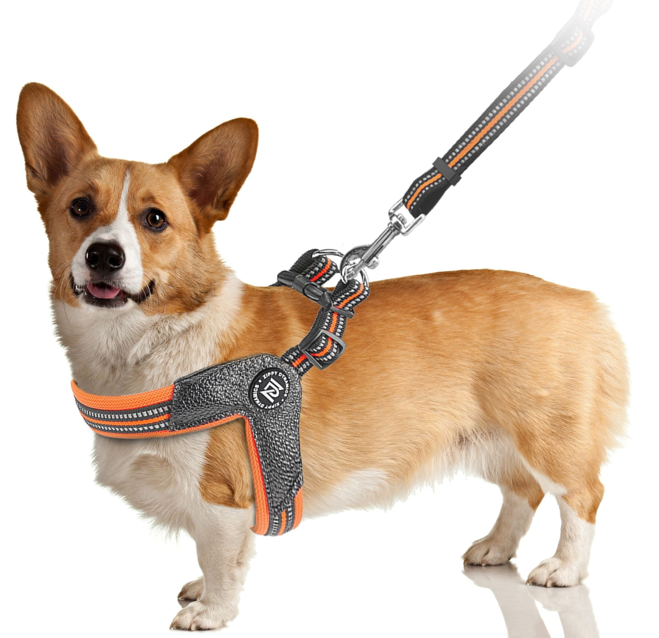 Stride. Dog Orange Step-In Adjustable Harness