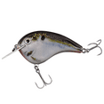 thumbnail image 1 of Strike King Chick Magnet Flatside Crankbait Fishing Lure Natural Shad, 1 of 8