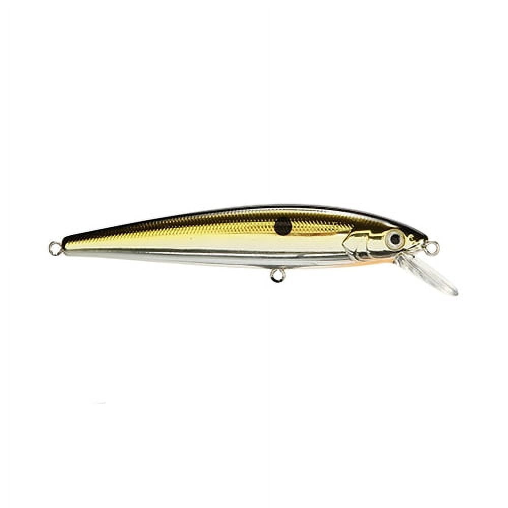 Gold-Baited Hook/黄金のフック CF 英語 AJY Hook - VANFOOK : Premium Japanese Fishing Hook Brand