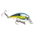 thumbnail image 1 of Strike King KVD Square 1.0 Chrome Sexy Shad, 1 of 1