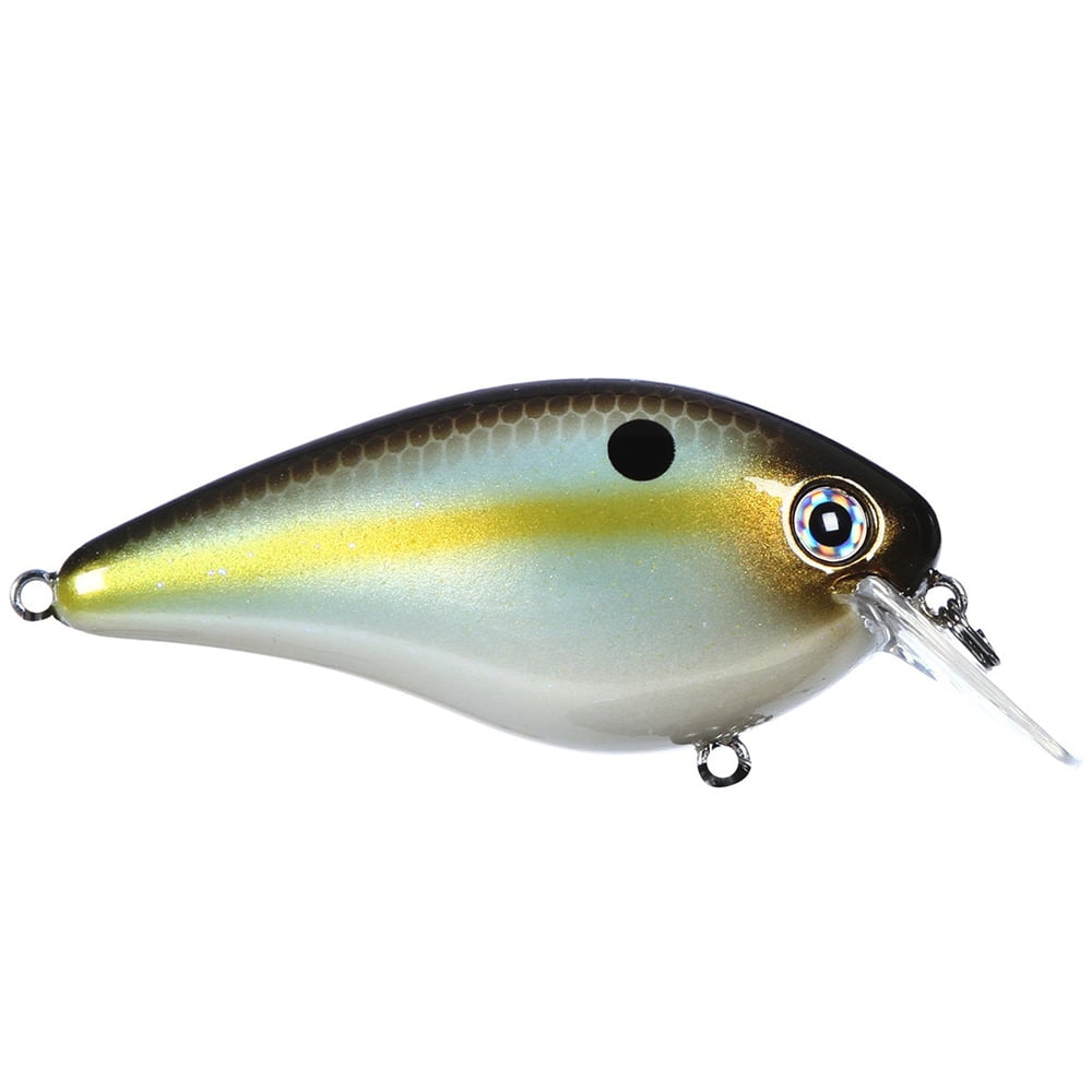Strike King KVD Square 1.0 Summer Sexy Shad for Shallow Water