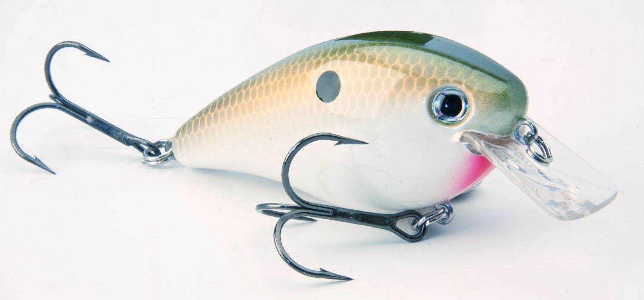 Strike King KVD Square 1.0 TN Shad