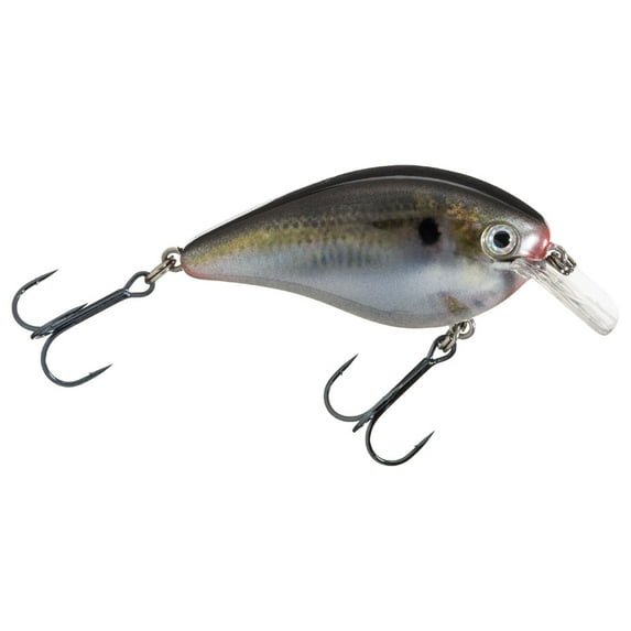 Strike King KVD Square Bill 1.0 Crankbait Natural Shad Hard Bait Lure