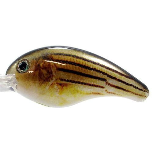 Strike King Pro-Model 10 XD Barfish