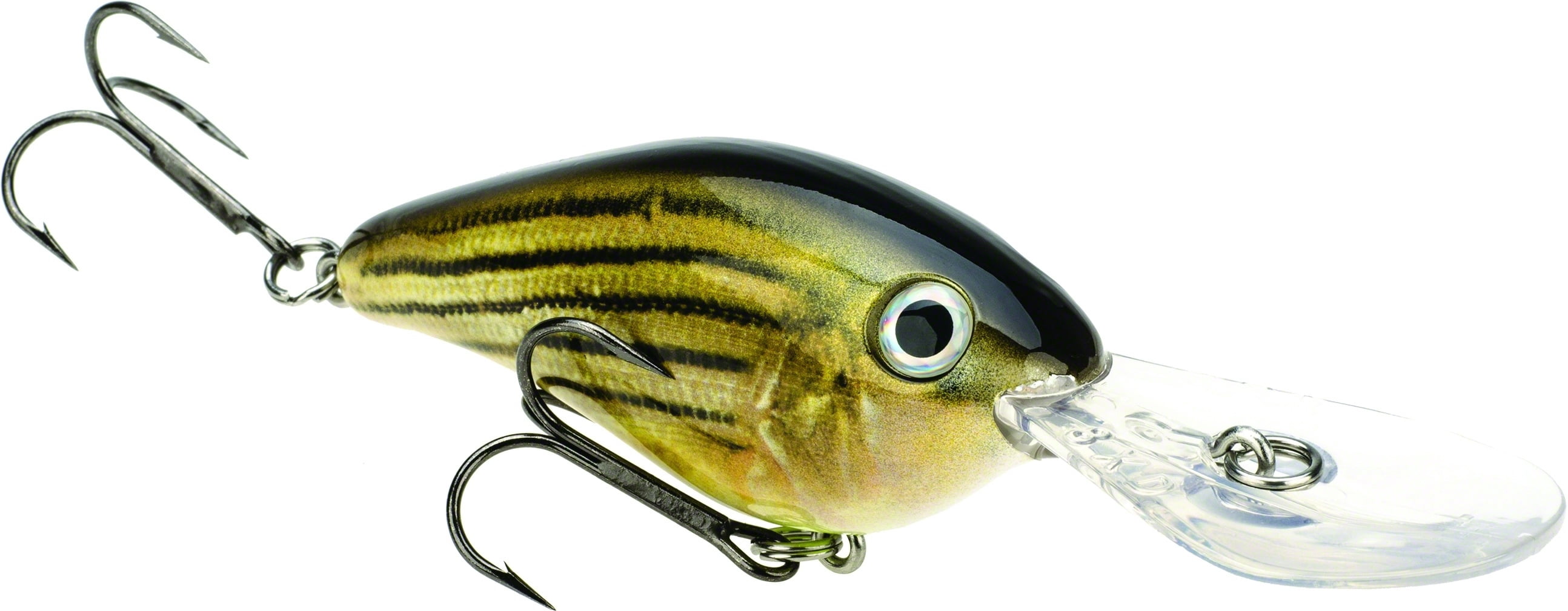 ProModel 8XD Crankbait Barfish