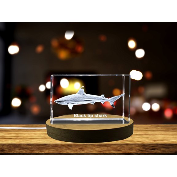 Striking 3D Engraved Crystal | Blacktip Shark