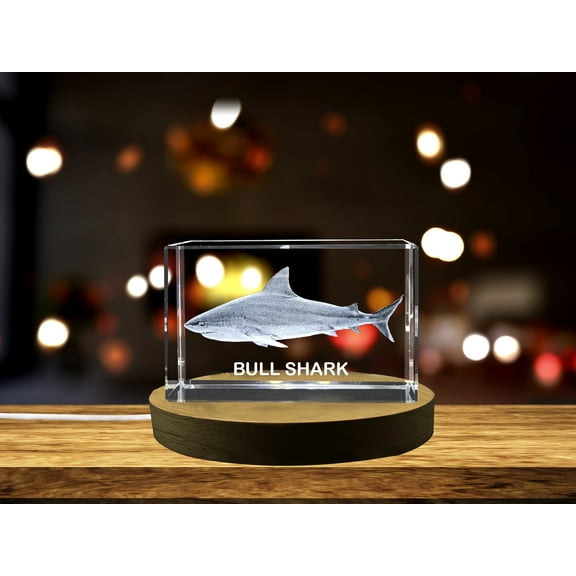 Striking 3D Engraved Crystal | Bull Shark