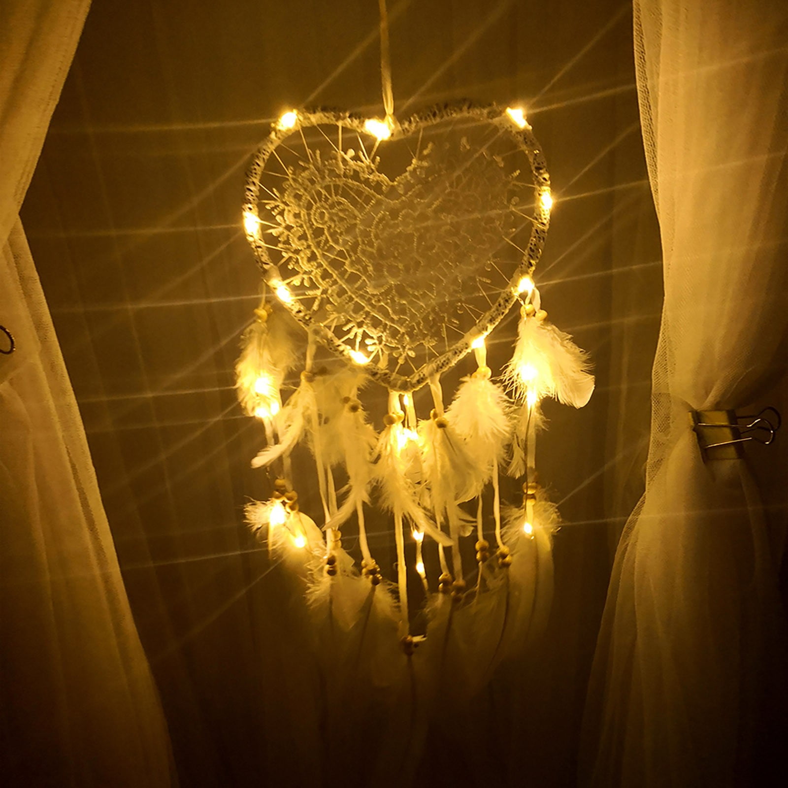 String of Pearls Live Long Bottle Trees for The Garden Hanging Winter