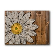 String of the Art Diy Kits Daisy String Art Kit