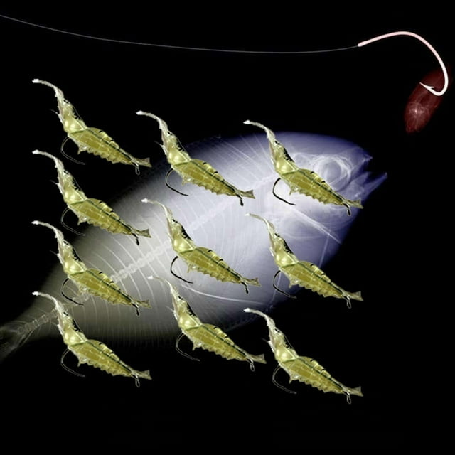 Stringer Heavy Duty Anglers Aid Catfish Dragging Weights Clam Tackle