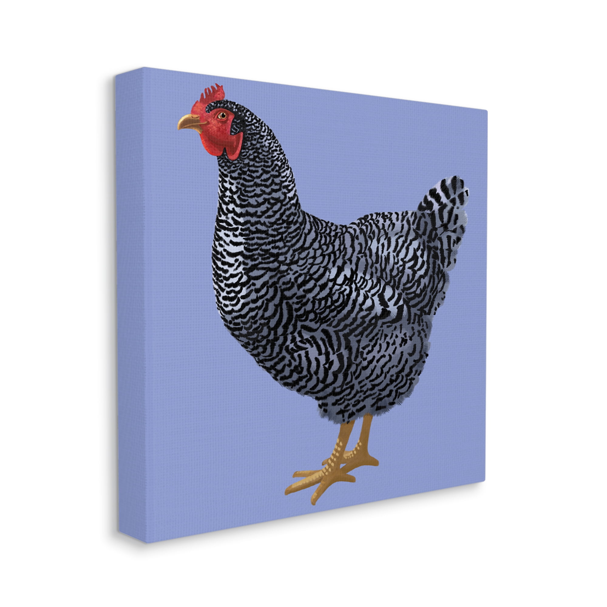 Striped Farm Chicken Over Purple Smiling Bird Animals & Insects Gallery-Wrapped Canvas Print Wall Art, 17x17
