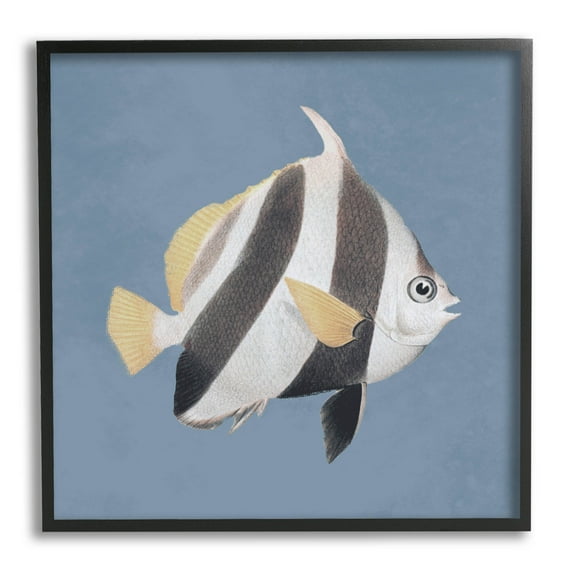 Striped Fish Marine Life Portrait Animals & Insects Graphic Art Black Framed Art Print Wall Art