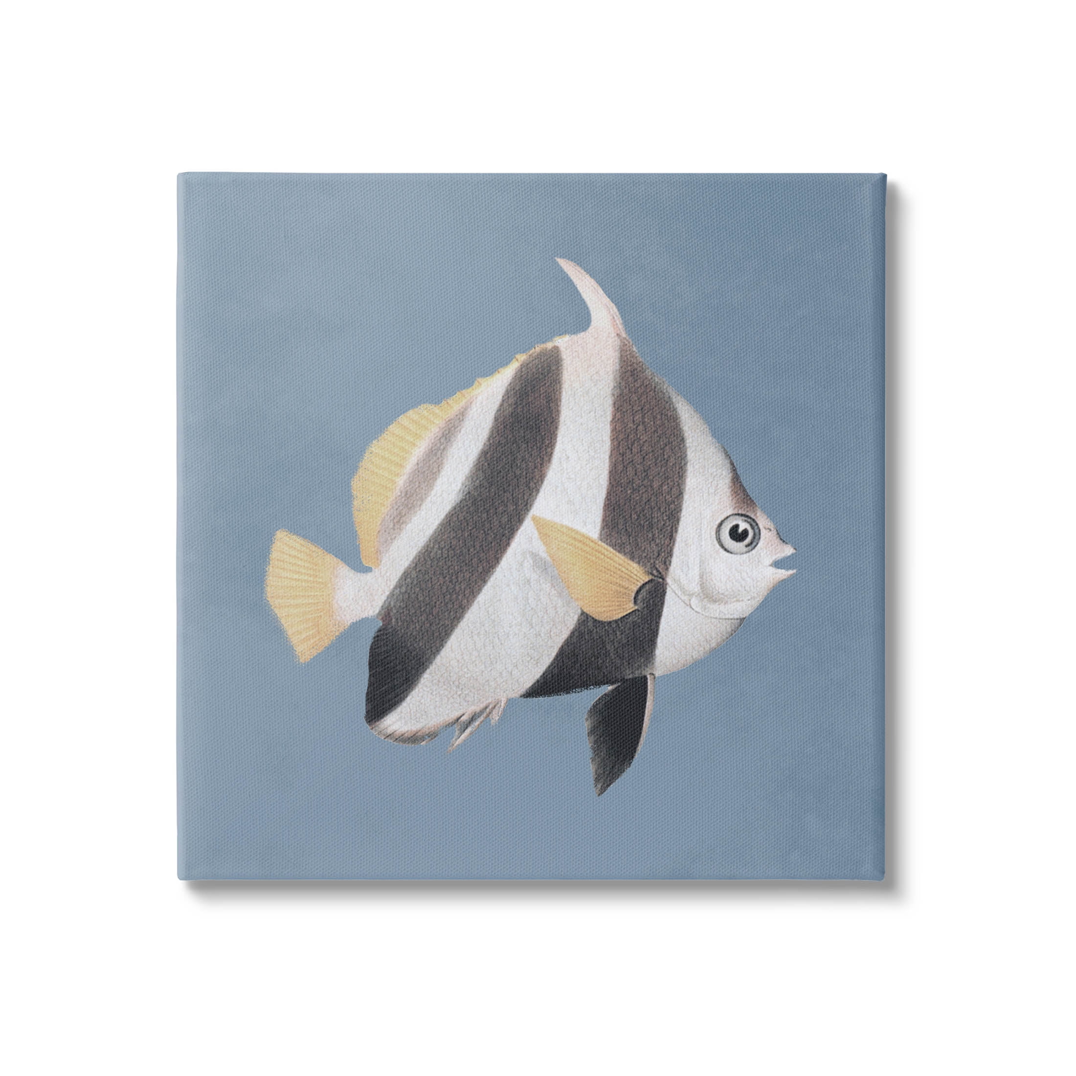 Striped Fish Marine Life Portrait Animals & Insects Graphic Art Gallery Wrapped Canvas Print Wall Art