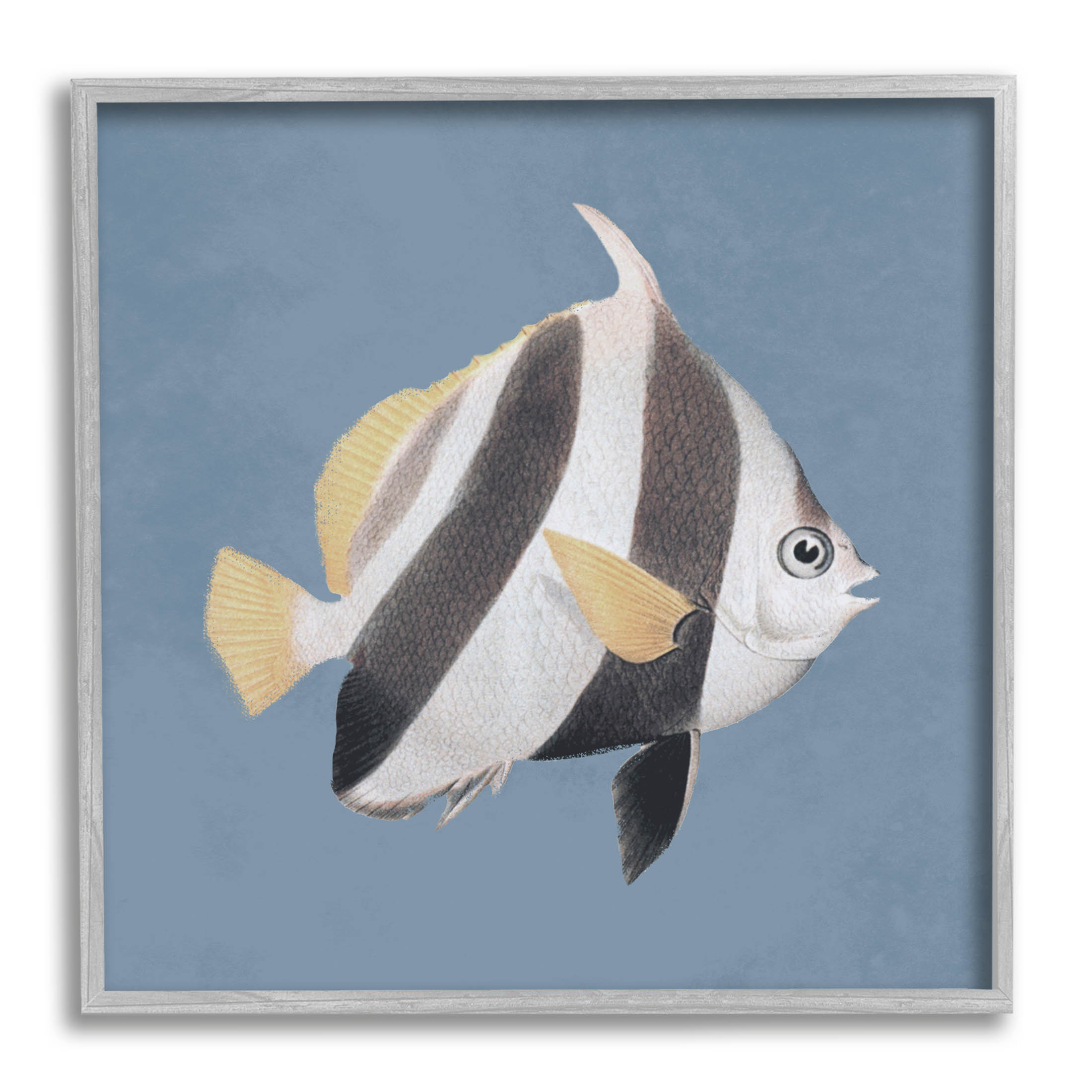 Striped Fish Marine Life Portrait Animals & Insects Graphic Art Gray Framed Art Print Wall Art