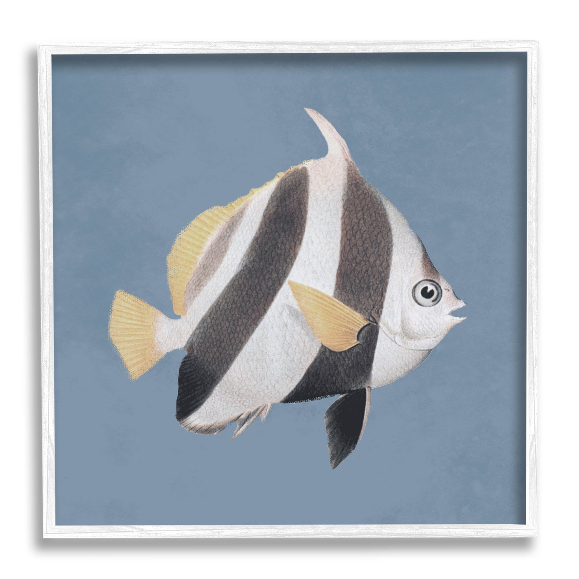 Striped Fish Marine Life Portrait Animals & Insects Graphic Art White Framed Art Print Wall Art