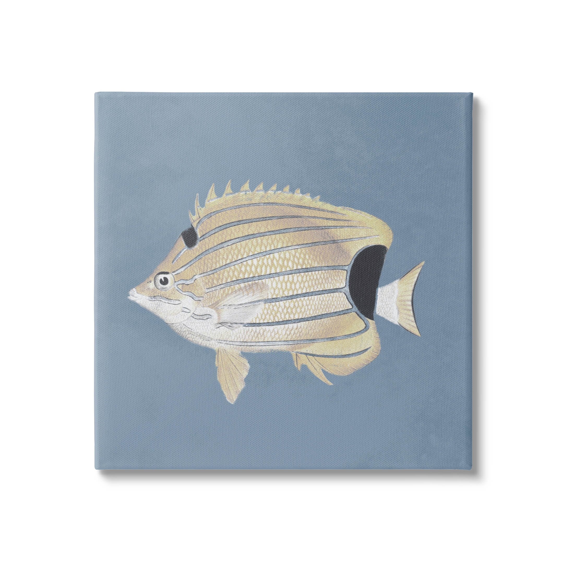 Striped Fish Portrait Blue Background Animals & Insects Graphic Art Gallery Wrapped Canvas Print Wall Art