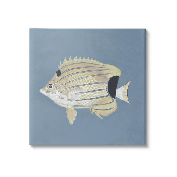 Striped Fish Portrait Blue Background Animals & Insects Graphic Art Gallery Wrapped Canvas Print Wall Art