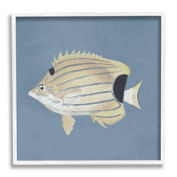Striped Fish Portrait Blue Background Animals & Insects Graphic Art White Framed Art Print Wall Art