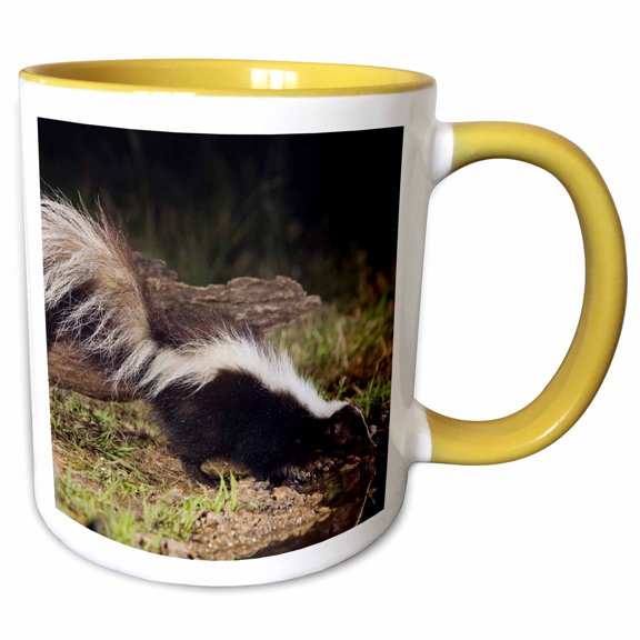 3drose, Striped Skunk Wildlife, Hill Country, Texas - Na02 Rnu0263 - Rolf Nussbaumer, 11oz Two-tone Yellow Mug