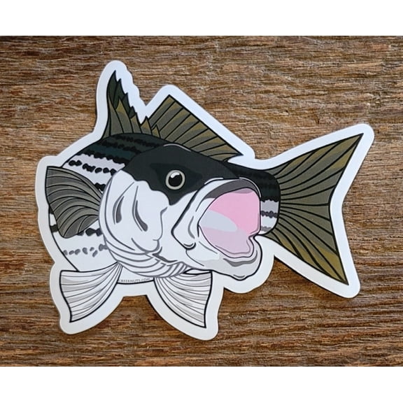 Striper Sticker Decal