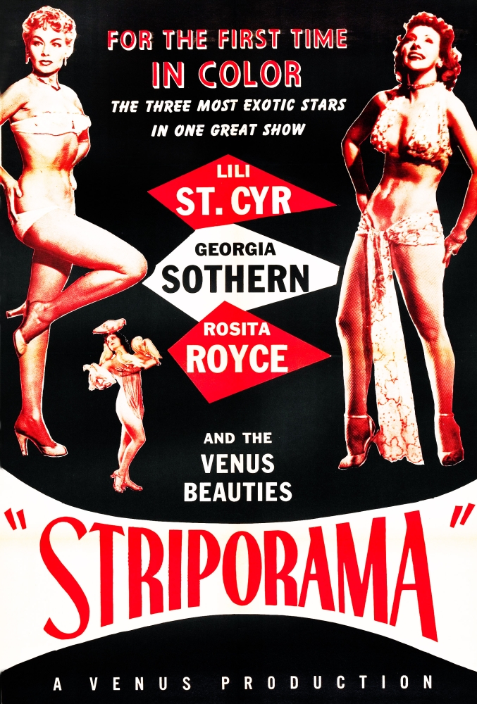 Striporama Canvas Art - (24 x 36)