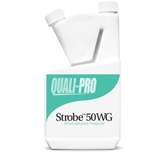Strobe 50WG Fungicide Azoxystrobin - 1 Lb.