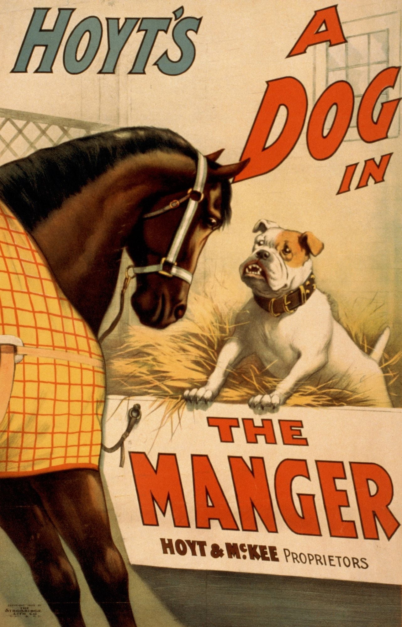 Strobridge & Co Lith Poster c1899 Hoyts A Dog in the Manger Canvas Art - Strobridge & Co Lith (24 x 36)