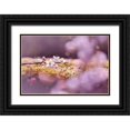 thumbnail image 1 of Strohmenger, Gaelle 14x11 Black Ornate Wood Framed with Double Matting Museum Art Print Titled - Aurore, 1 of 4