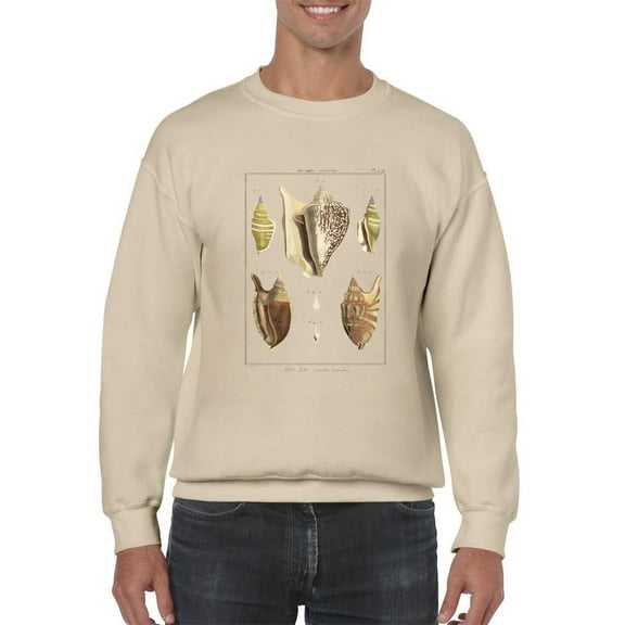 Strombe Shells Sweatshirt Men -Denis Diderot Designs, Male XX-Large
