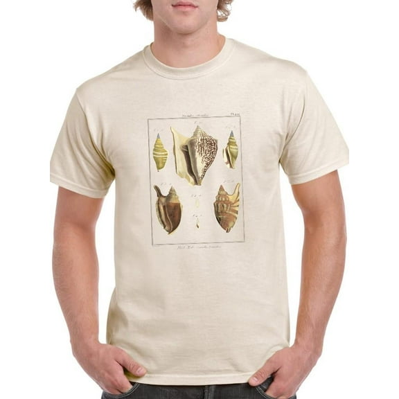 Strombe Shells T-Shirt Men -Denis Diderot Designs, Male x-Large