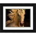 thumbnail image 1 of Stromberg, Tony 14x11 Black Ornate Wood Framed with Double Matting Museum Art Print Titled - Kieto II, 1 of 4