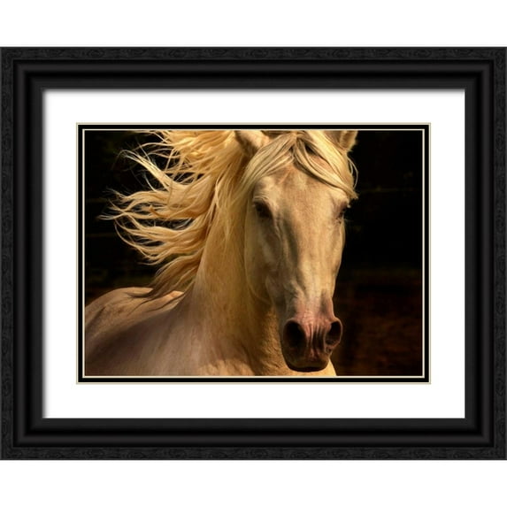 Stromberg, Tony 14x11 Black Ornate Wood Framed with Double Matting Museum Art Print Titled - Kieto II