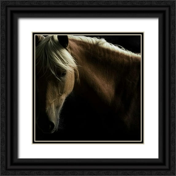 Stromberg, Tony 20x20 Black Ornate Wood Framed with Double Matting Museum Art Print Titled - Spirit Horse