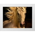 thumbnail image 1 of Stromberg, Tony 24x19 White Modern Wood Framed Museum Art Print Titled - Kieto II, 1 of 4