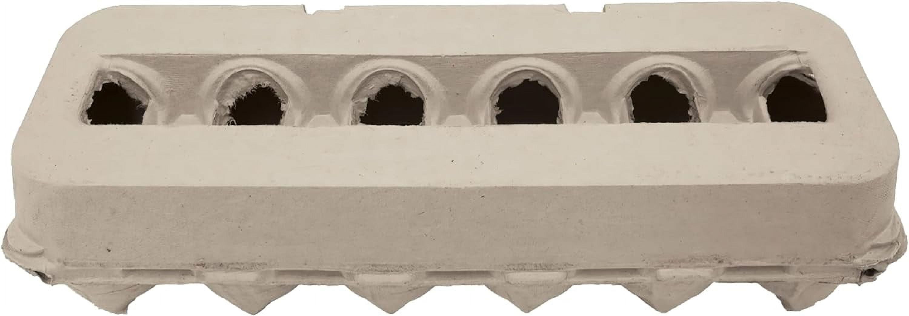 Stromberg's Jumbo Egg Cartons - Bulk Pack Of 200, Blank For Custom Branding, Recyclable