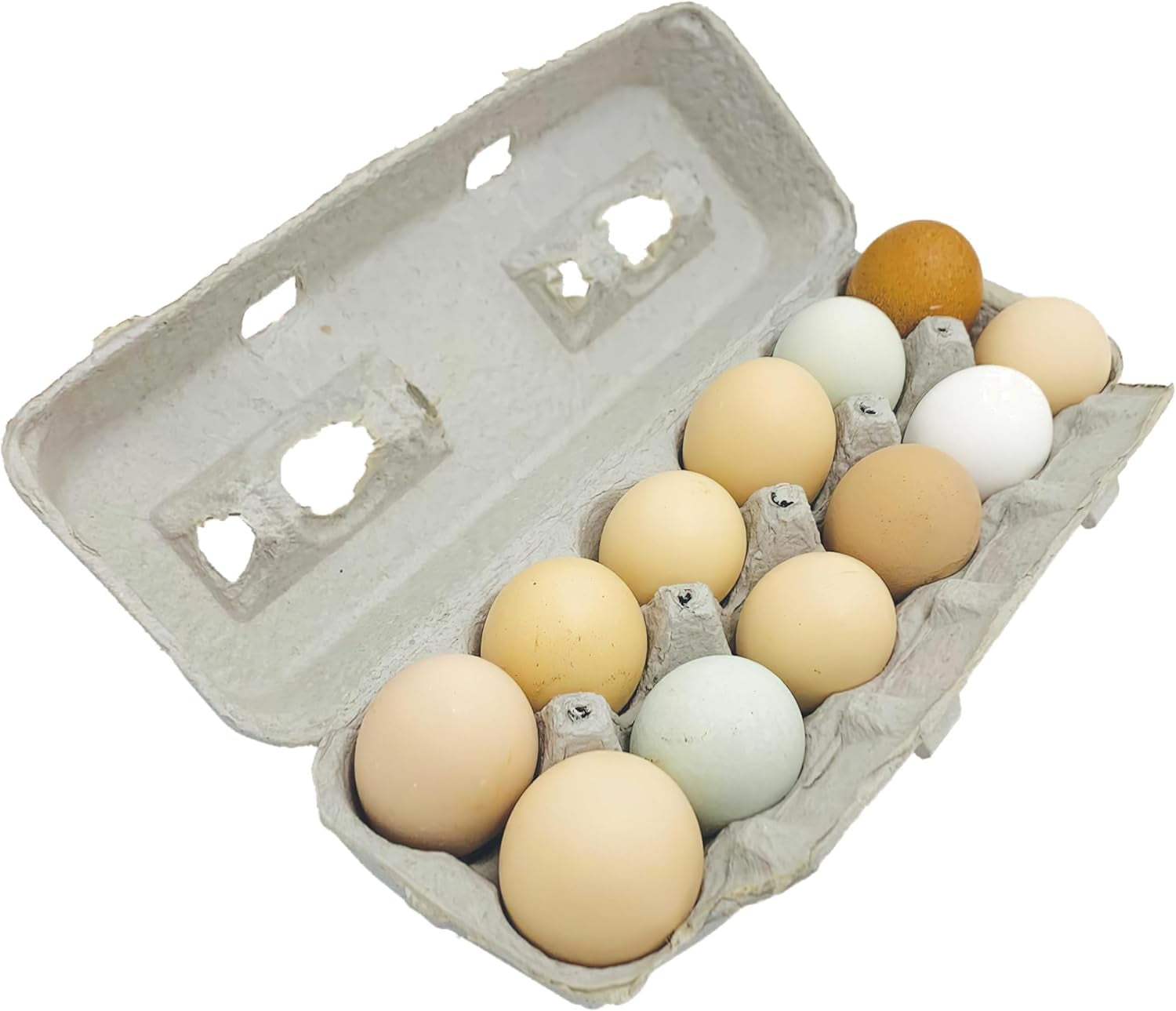 Stromberg's Large Blank Egg Cartons – Bulk 250 Pack, Holds Large Eggs, Customizable & Stackable