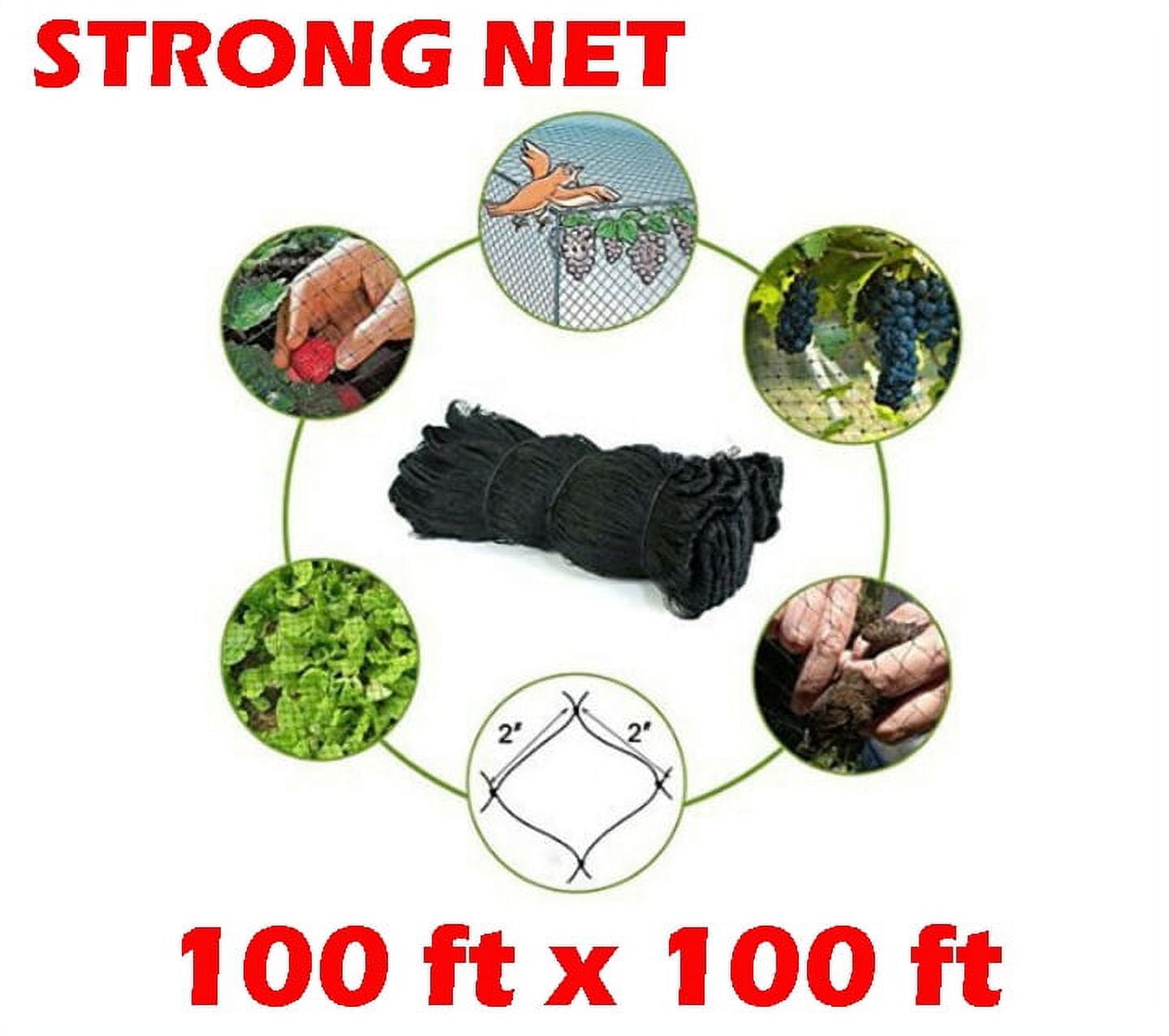 Strong 100ft x 100ft Nylon 2-Inch Mesh Anti Bird Poultry Netting for ...